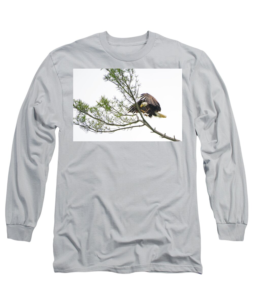 Bald Eagle Long Sleeve T-Shirt featuring the photograph Coming in for a Landing by Robert J Wagner