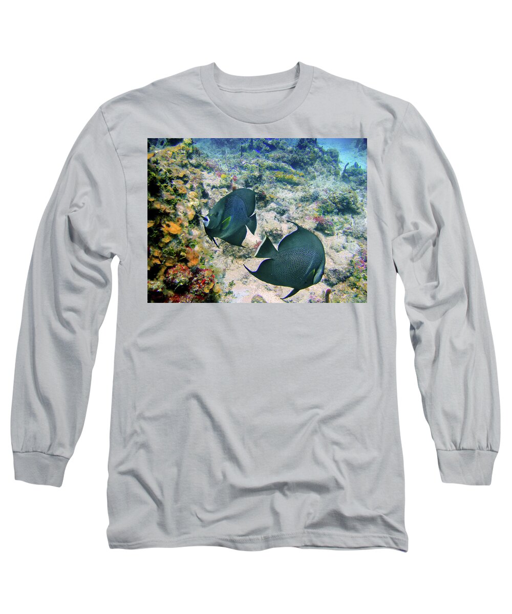 Grey Angelfish Long Sleeve T-Shirt featuring the photograph Grey Play by Climate Change VI - Sales