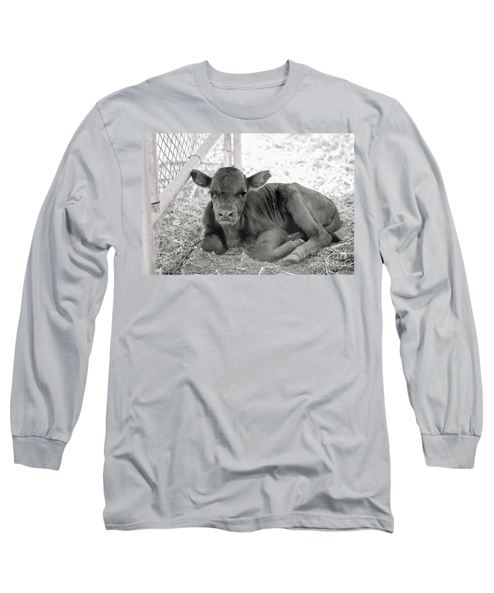 Grumpy Long Sleeve T-Shirt featuring the photograph Grumpy Cow by Eddie Yerkish