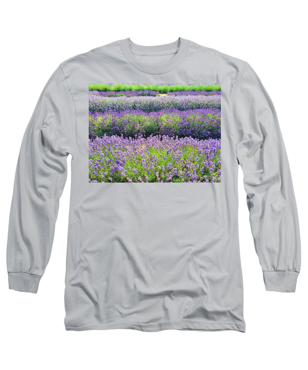 Wildflowers Long Sleeve T-Shirt featuring the photograph English Lavender Fields by Andrea Whitaker