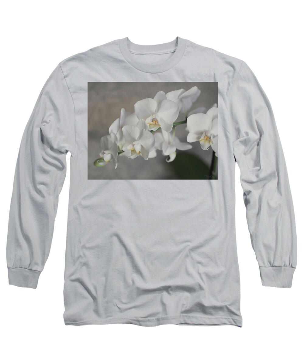 Orchid Long Sleeve T-Shirt featuring the photograph Phalaenopsis Orchid 4647 by Teresa Wilson