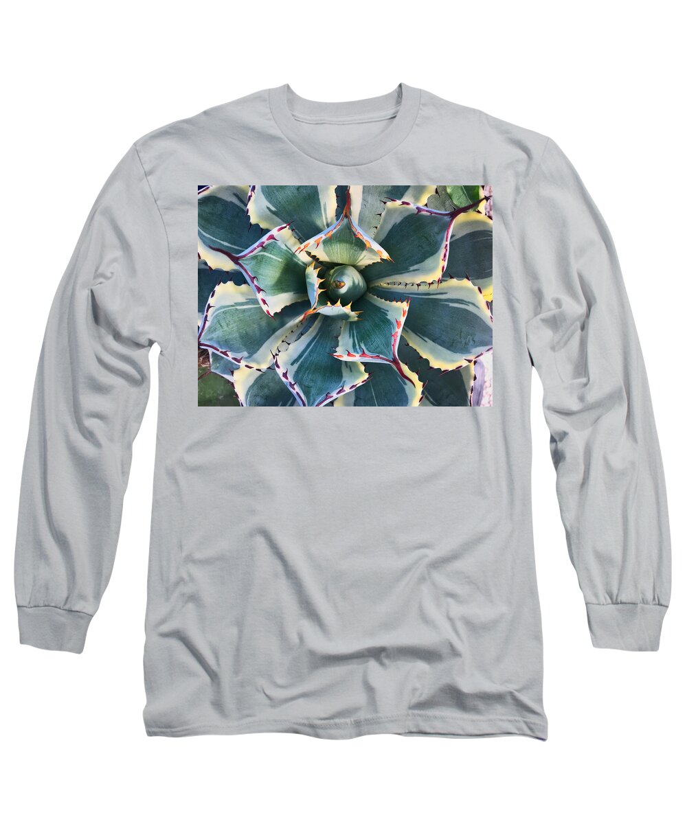 Plant Long Sleeve T-Shirt featuring the photograph Pinwheel Succulent by Tom Gresham