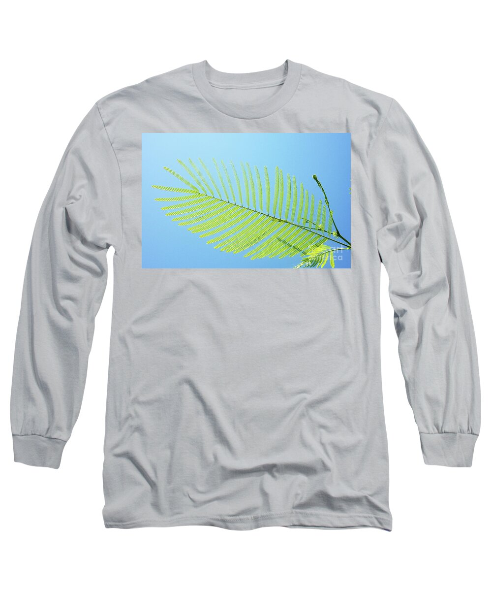 Pond Pine Long Sleeve T-Shirt featuring the photograph Pond Pine_1 by Pics By Tony