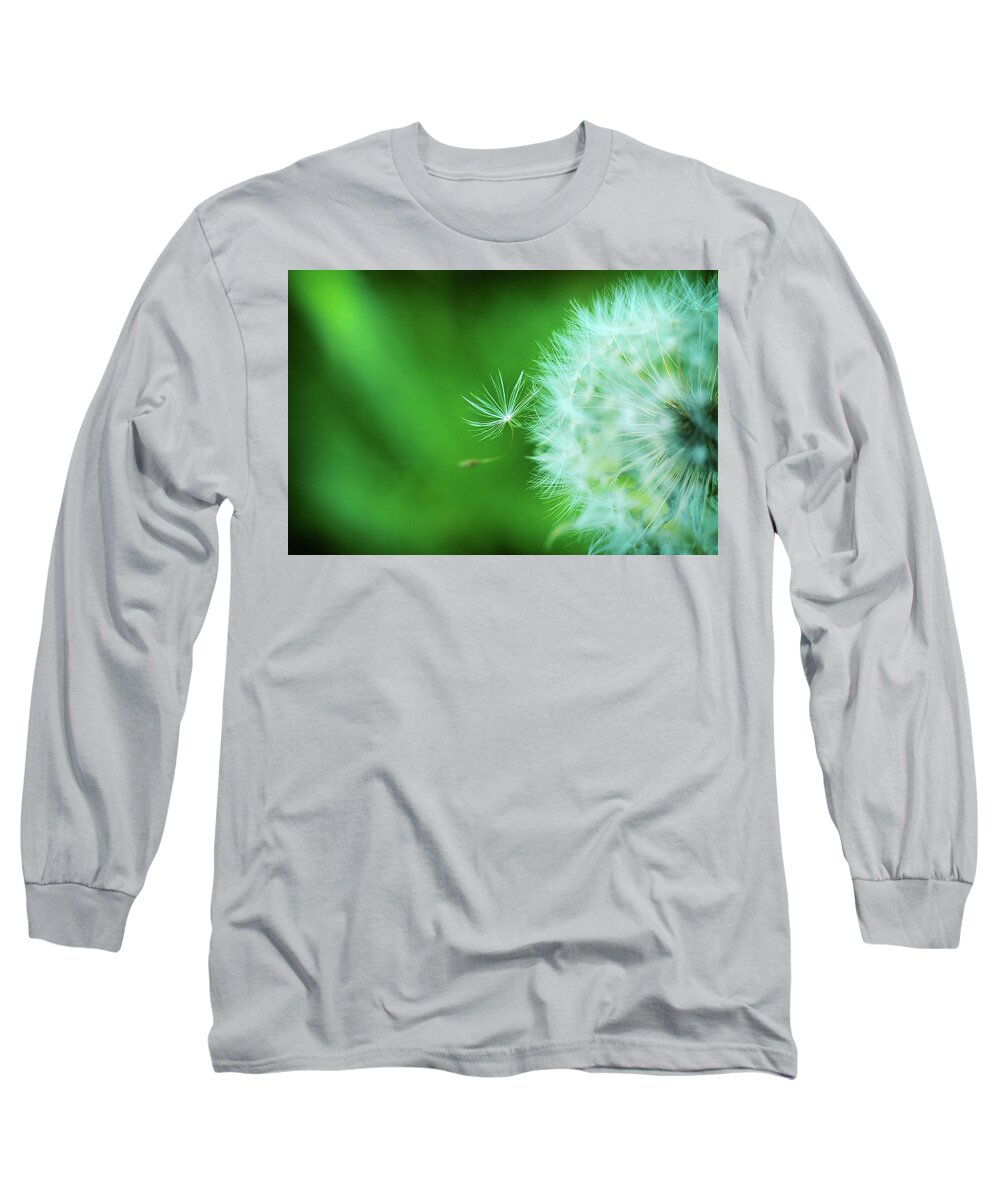 Dandelion Long Sleeve T-Shirt featuring the photograph Pulling Rank by Michelle Wermuth