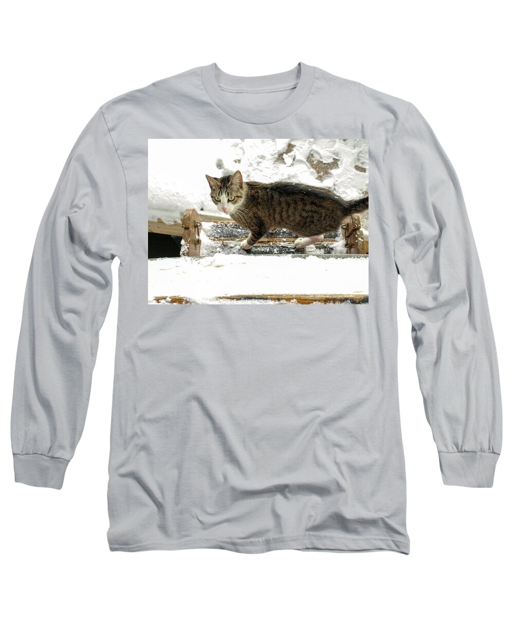 Grey Long Sleeve T-Shirt featuring the photograph Slippery - Not by C Winslow Shafer