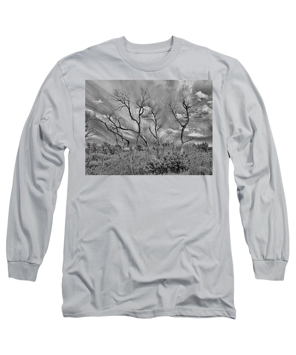 Spring Long Sleeve T-Shirt featuring the photograph Spring 2019 Study 8 by Robert Meyers-Lussier