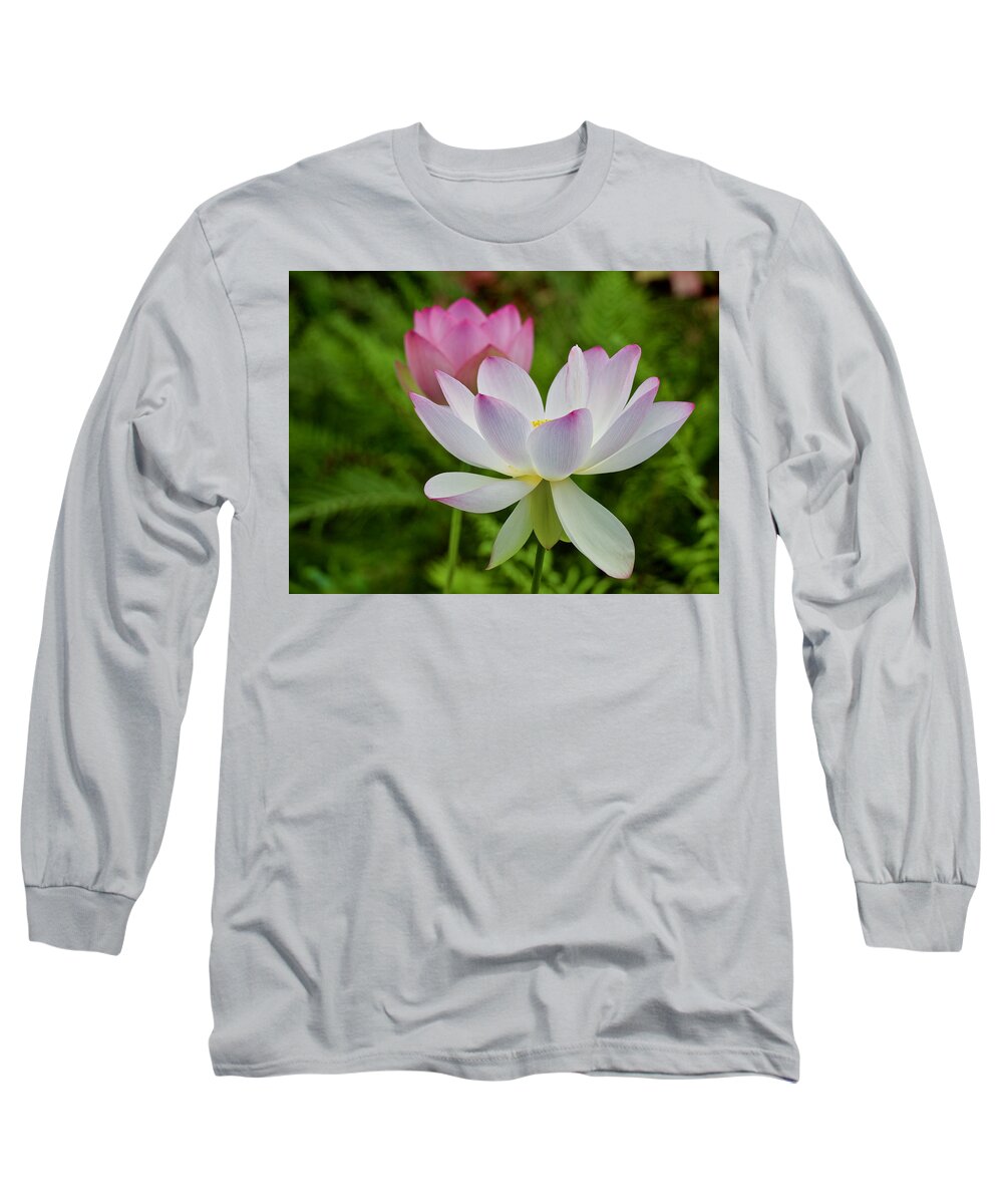 Blossom Long Sleeve T-Shirt featuring the photograph Two Pink Lotus Flowers in Bloom by L Bosco