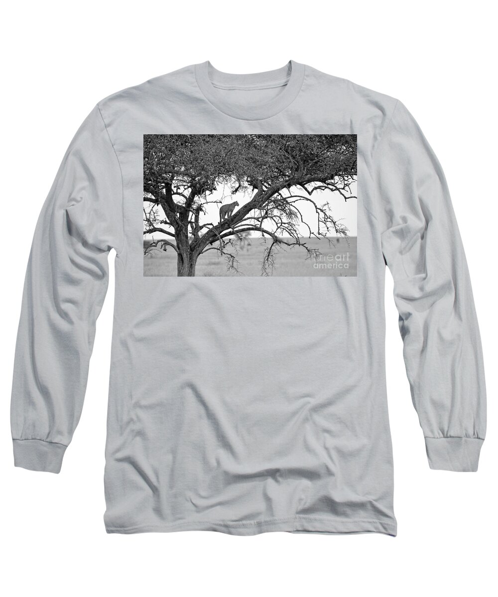 Leopard Long Sleeve T-Shirt featuring the photograph Cat Up a Tree by Stephen Schwiesow