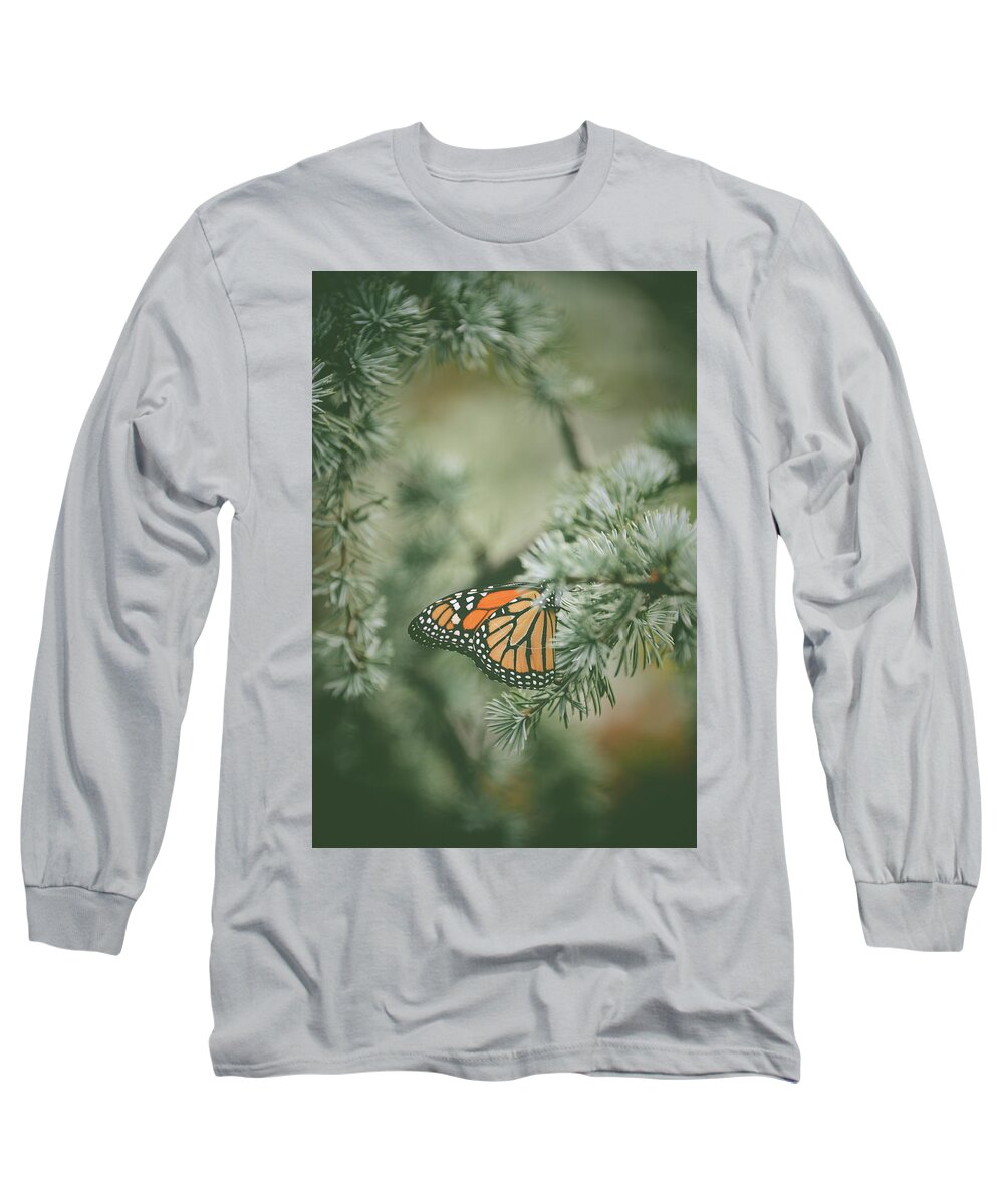 Pine Long Sleeve T-Shirt featuring the photograph Winter Monarch by Michelle Wermuth