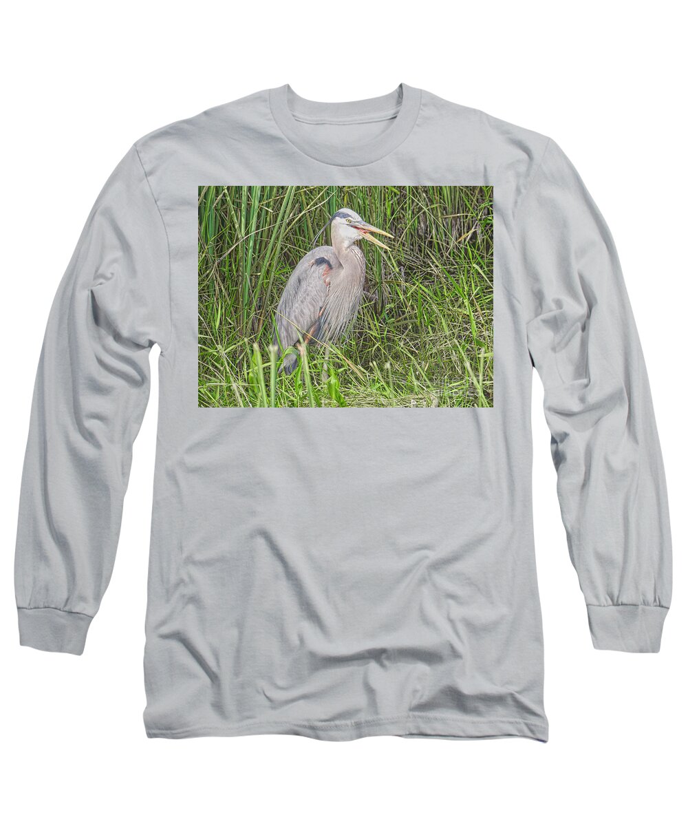 Birds Long Sleeve T-Shirt featuring the photograph Young Heron by Judy Kay