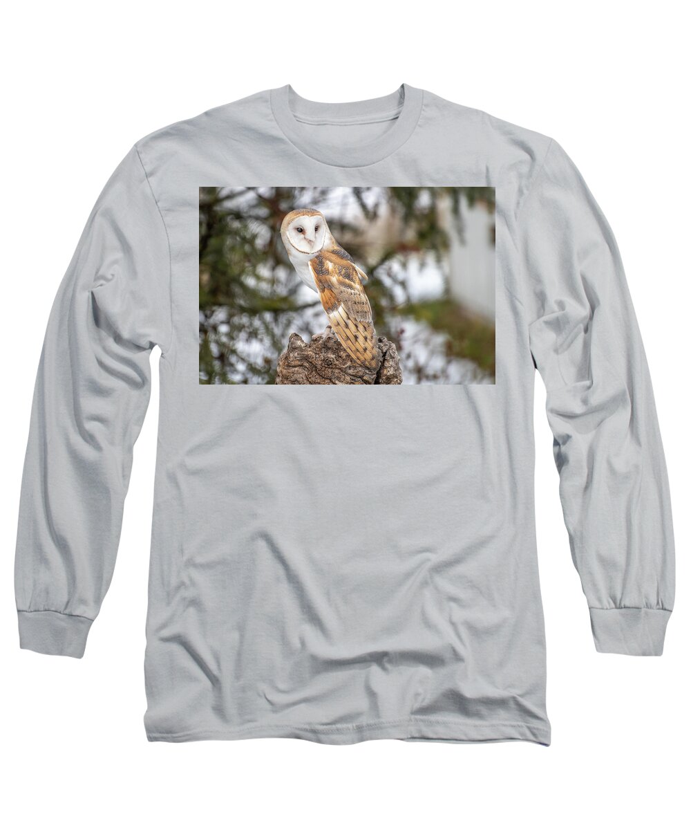 2020 Long Sleeve T-Shirt featuring the photograph Barn Owl by Constance Puttkemery