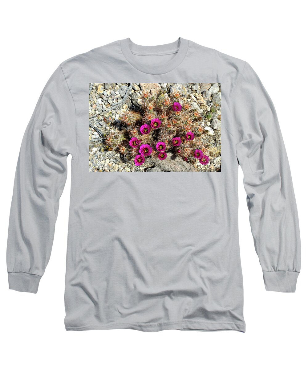 Denise Bruchman Photography Long Sleeve T-Shirt featuring the photograph Desert Bouquet #1 by Denise Bruchman