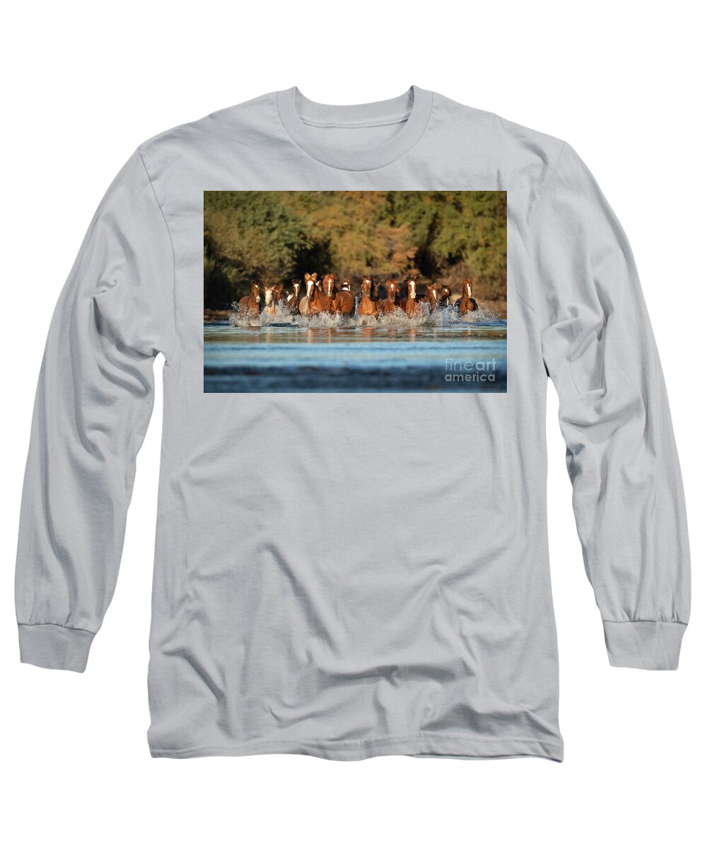 Salt River Wild Horses Long Sleeve T-Shirt featuring the photograph Running Free #2 by Shannon Hastings
