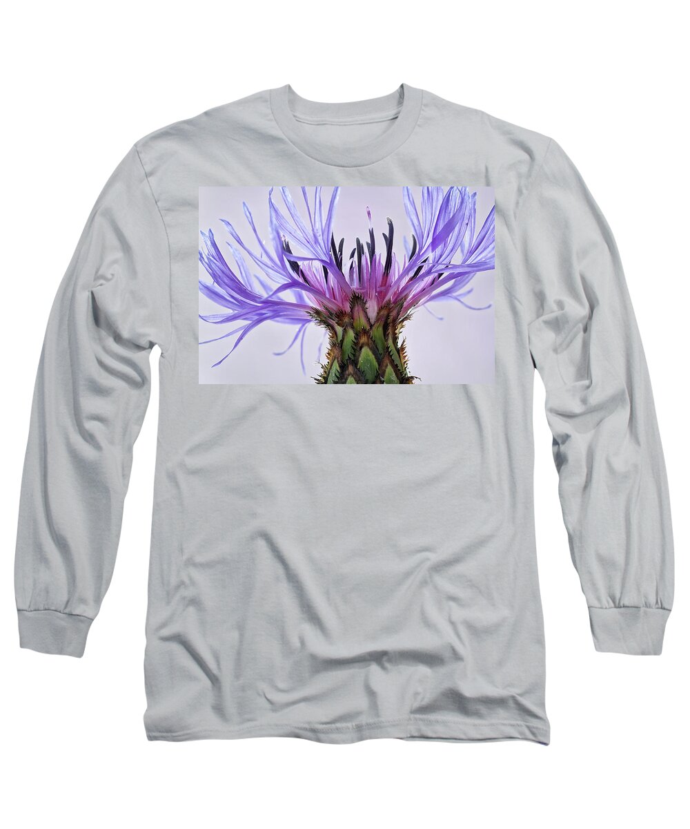 Floral Long Sleeve T-Shirt featuring the photograph Batchelors Button #6 by Shirley Mitchell
