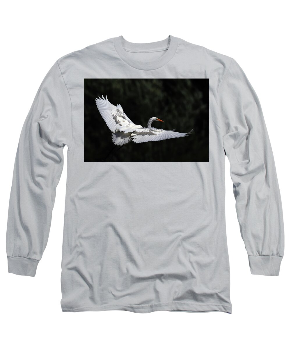 Great Egret Long Sleeve T-Shirt featuring the photograph A Great Egret in Flight by Shixing Wen