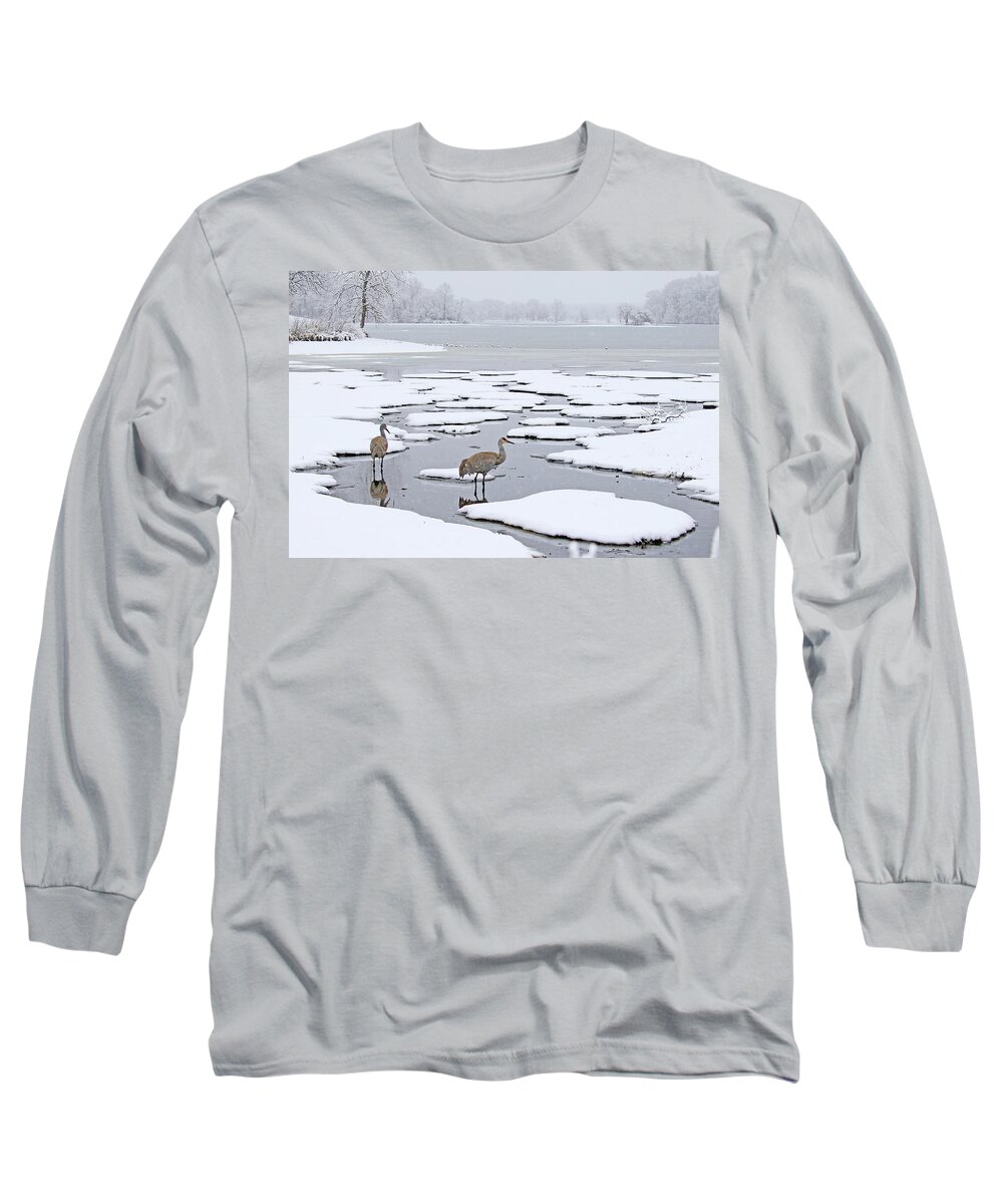 Sandhill Crane Long Sleeve T-Shirt featuring the photograph A Sandhill Crane Couple in a Michigan Winter Wonderland by Shixing Wen