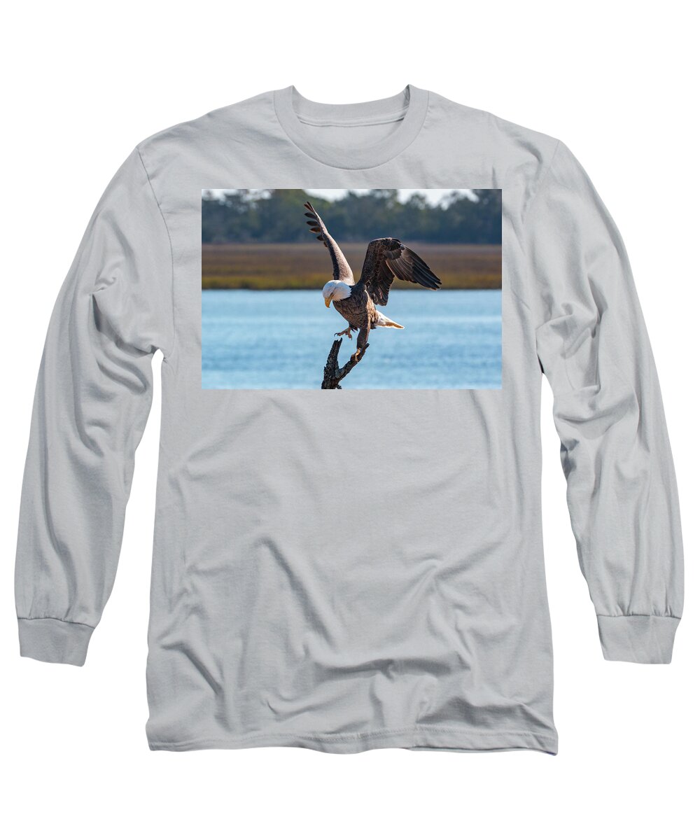 Bald Eagle Long Sleeve T-Shirt featuring the photograph Bald Eagle Landing by D K Wall
