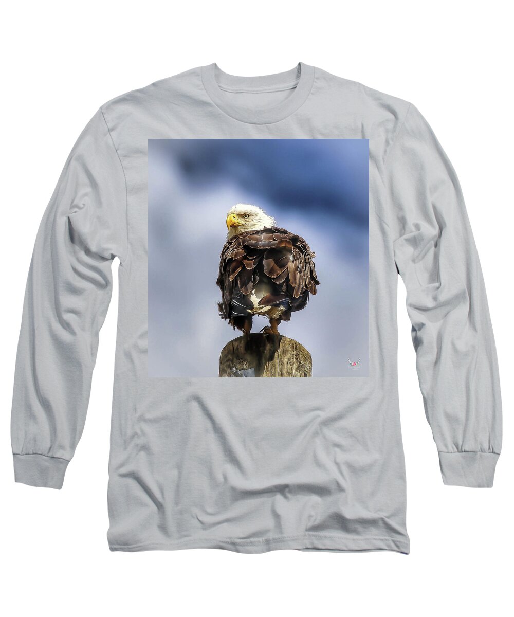 Eagle Long Sleeve T-Shirt featuring the photograph Bald Eagle by Pam Rendall