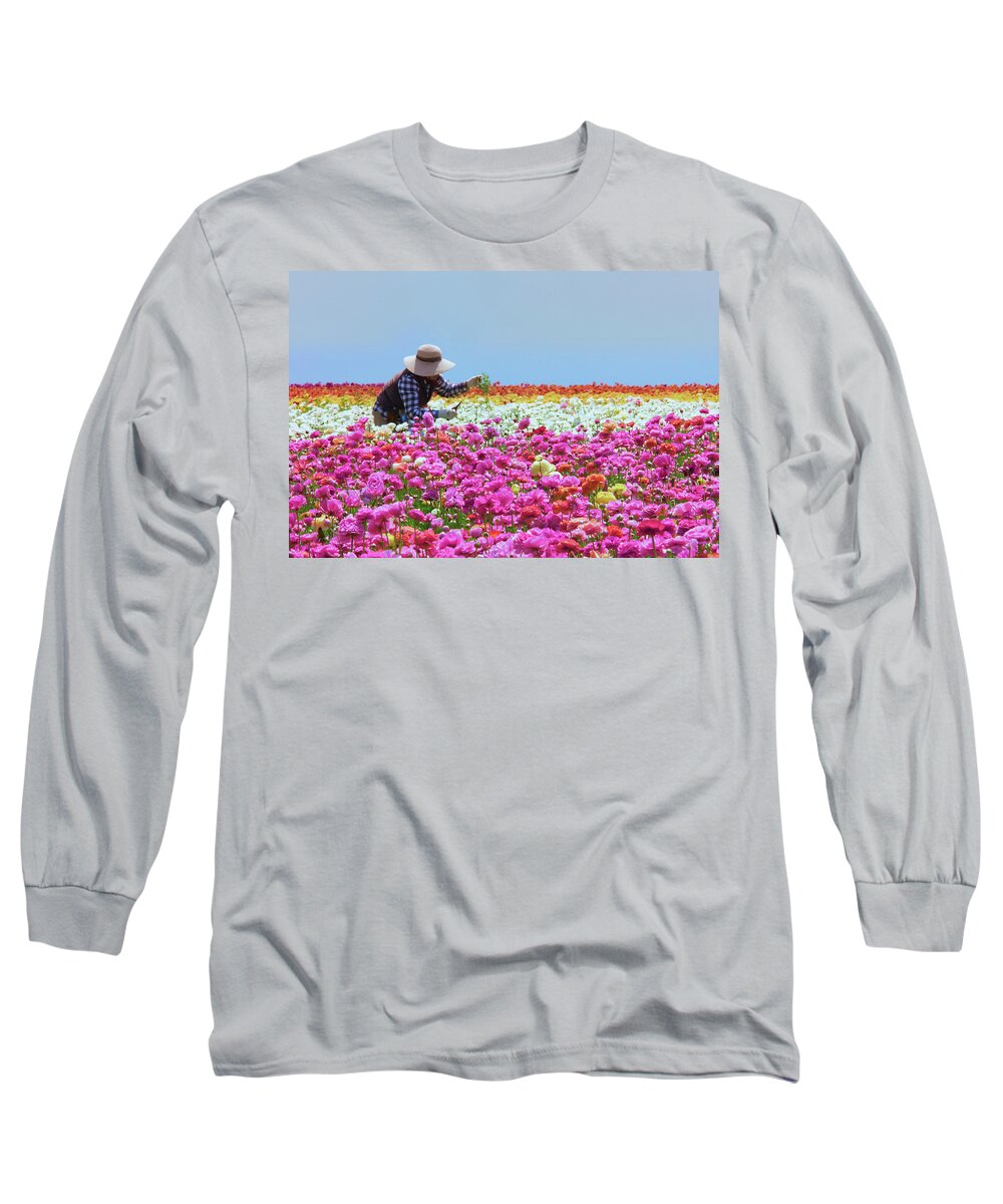 Carlsbad Flower Fields Long Sleeve T-Shirt featuring the photograph Carlsbad Flower Fields California by Ram Vasudev
