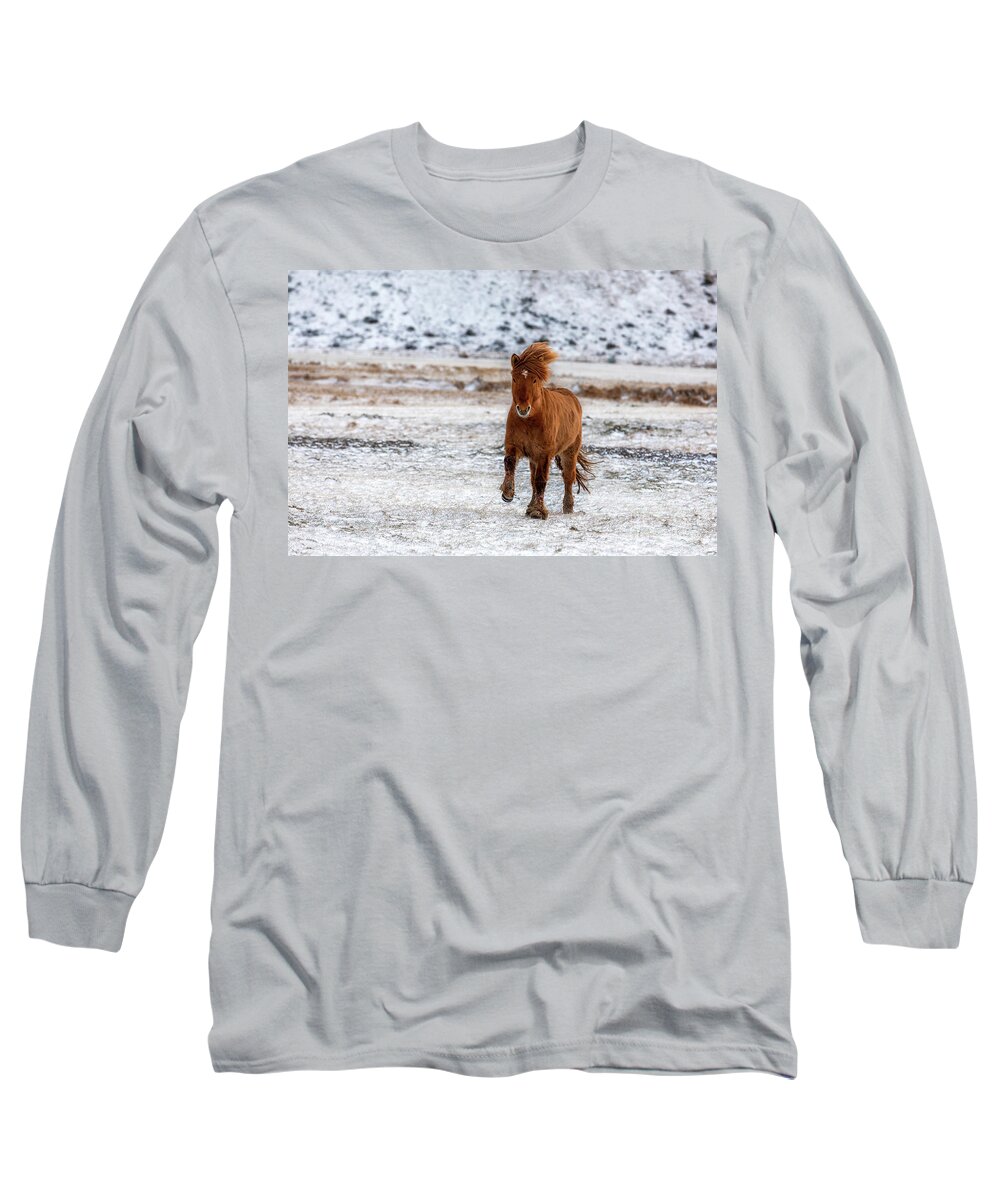 Running Long Sleeve T-Shirt featuring the photograph Chestnut Icelandic horse running across a frozen and snowy meado by Jane Rix
