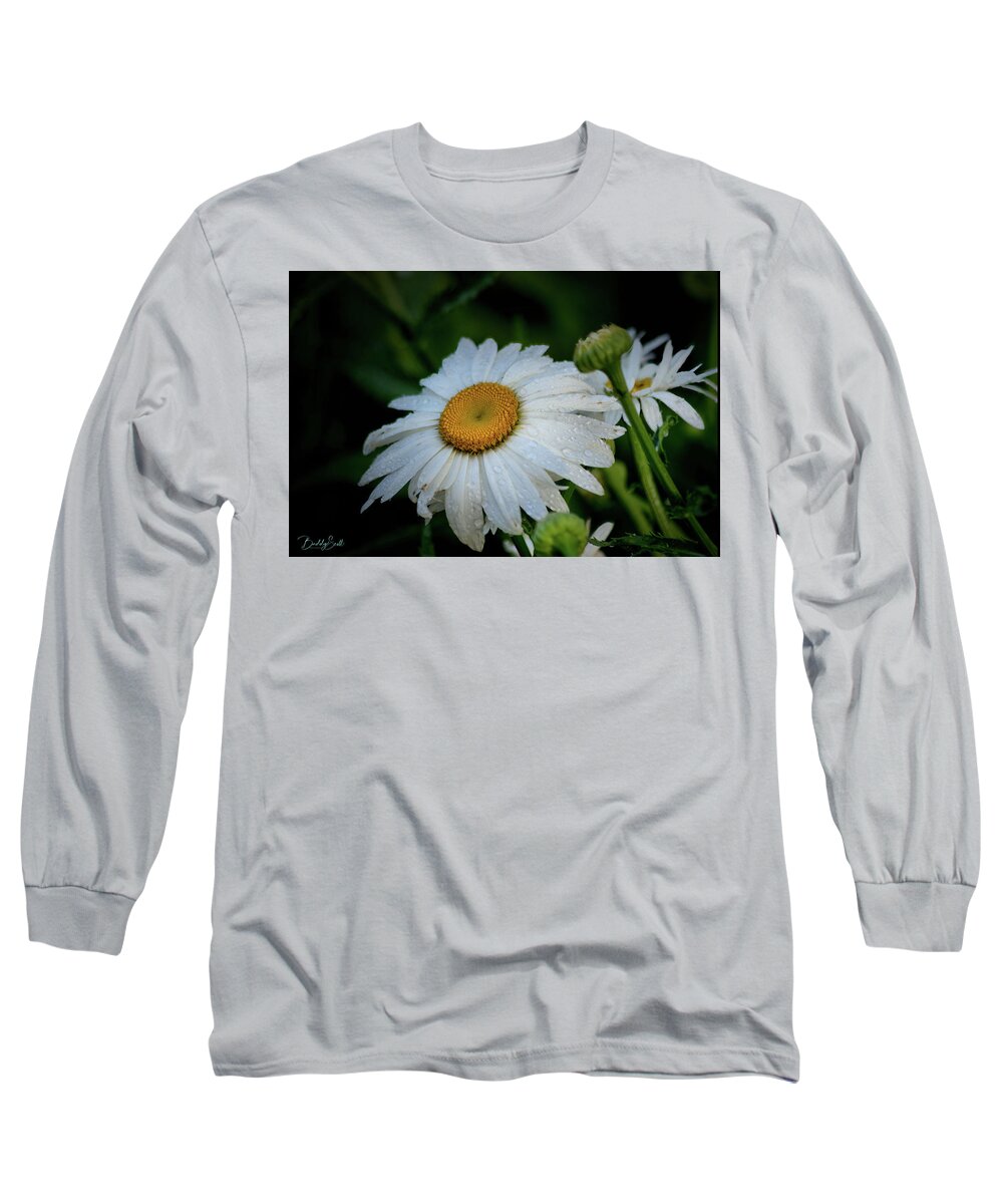 Plants Long Sleeve T-Shirt featuring the photograph Daisy rain by Buddy Scott