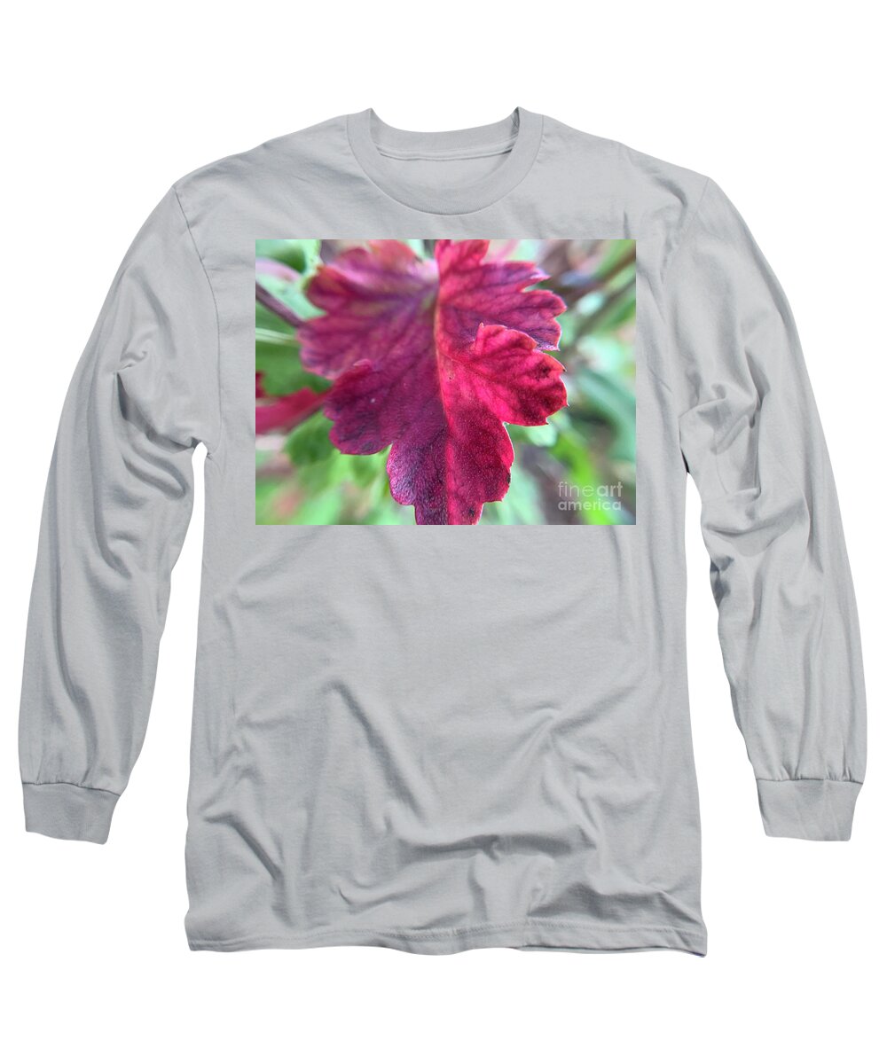 Daisy Leaf Long Sleeve T-Shirt featuring the photograph Daisy Red Leaf by Catherine Wilson