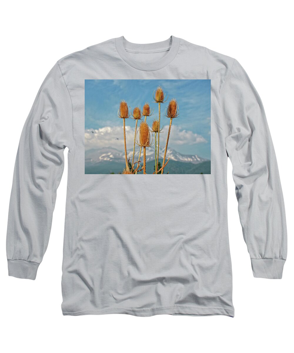 Spiritual Adventures Long Sleeve T-Shirt featuring the photograph Dragon Flies and Flowers with a view of Mt Shasta by Rebecca Dru