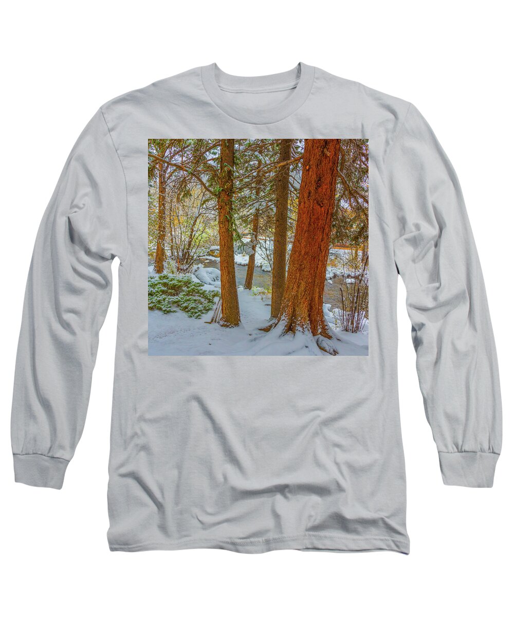 Calm Long Sleeve T-Shirt featuring the photograph Pine Trees in Snow by Tom Potter