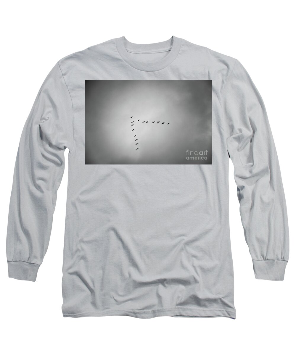 Birds Long Sleeve T-Shirt featuring the photograph Flying V by Daniel M Walsh