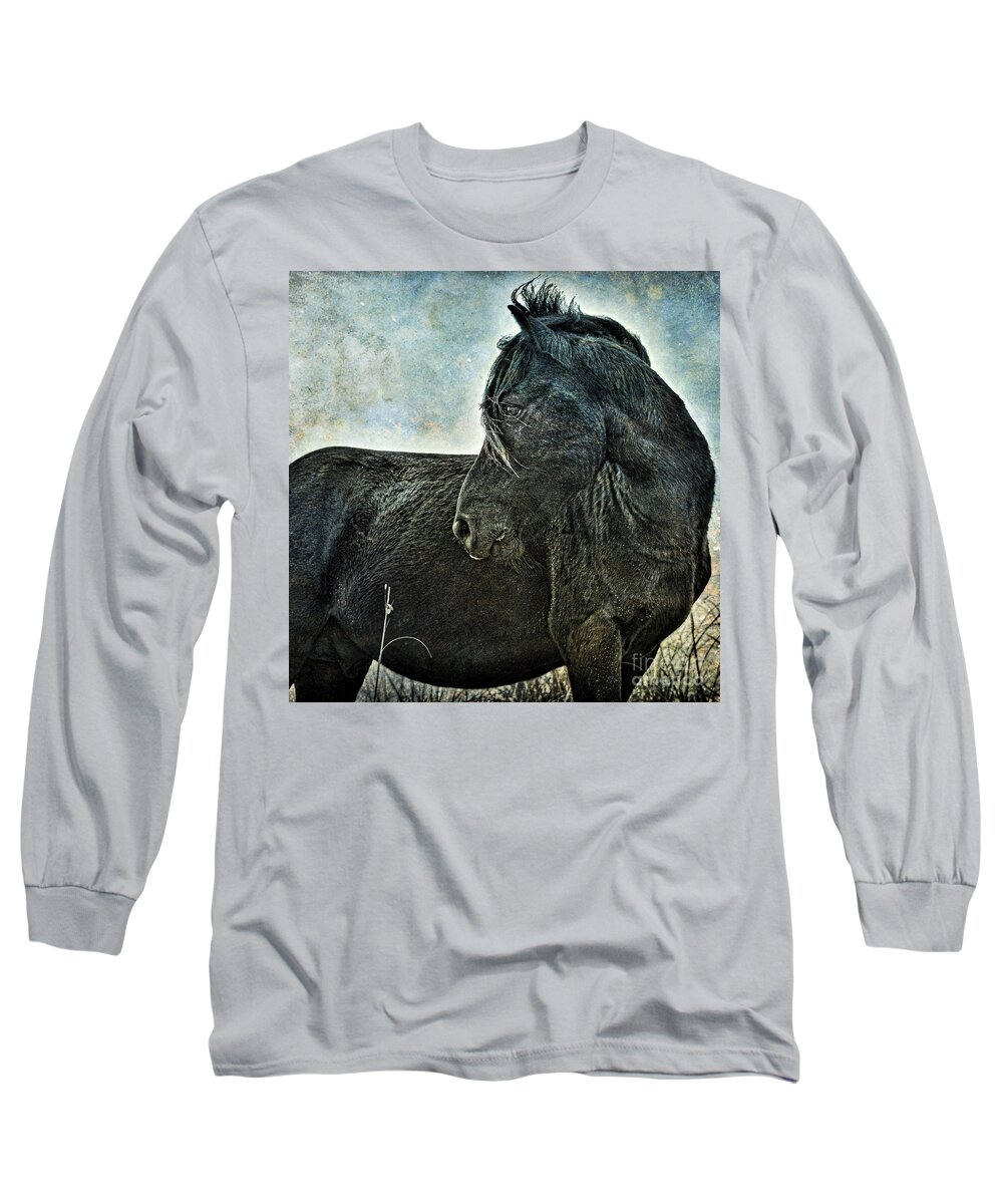 Horse Long Sleeve T-Shirt featuring the photograph Guardian by Parrish Todd