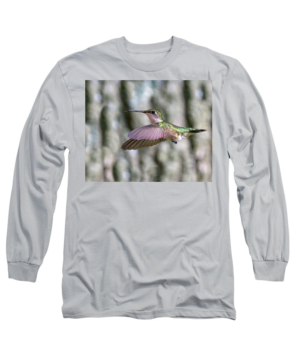 Hummingbird Long Sleeve T-Shirt featuring the photograph Hummingbird Wings Forward by Flinn Hackett