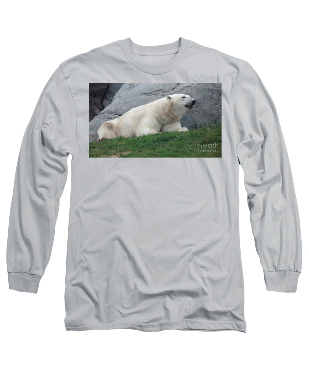 Wildlife Long Sleeve T-Shirt featuring the photograph Keen Sense by Mary Mikawoz
