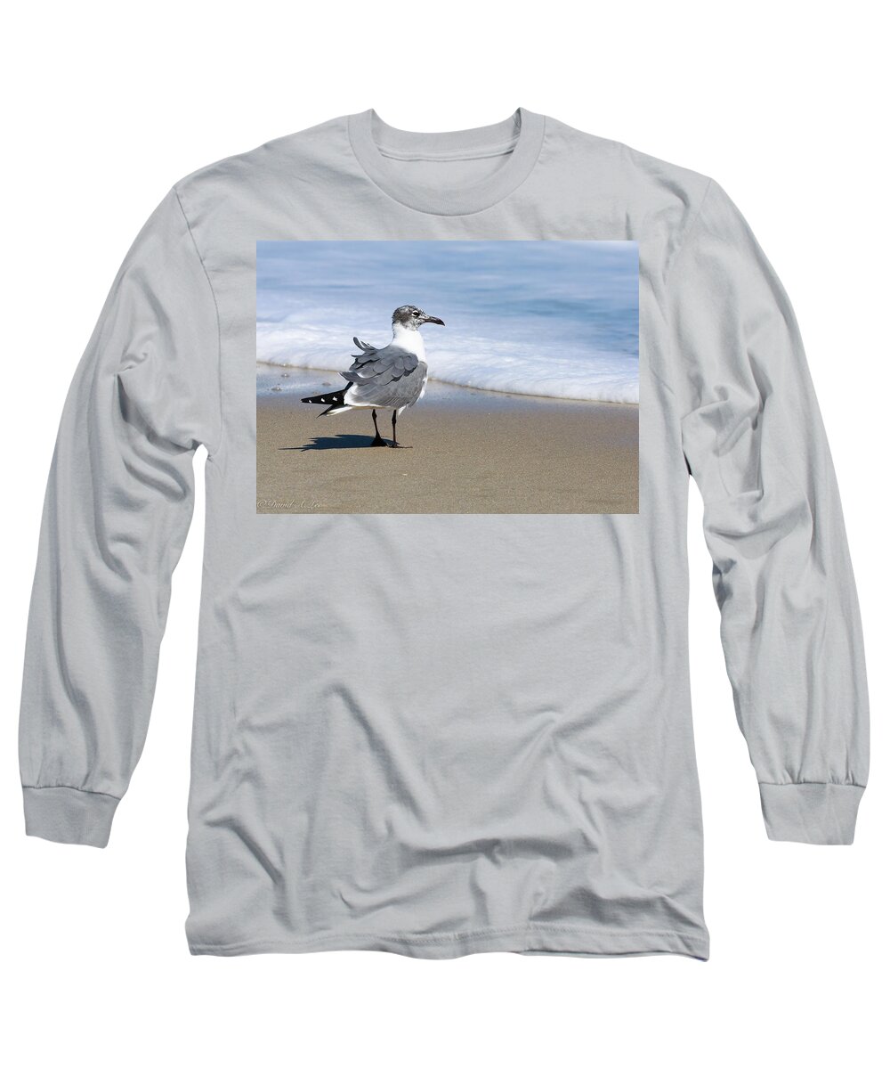 Birds Long Sleeve T-Shirt featuring the photograph Laughing Gull by David Lee