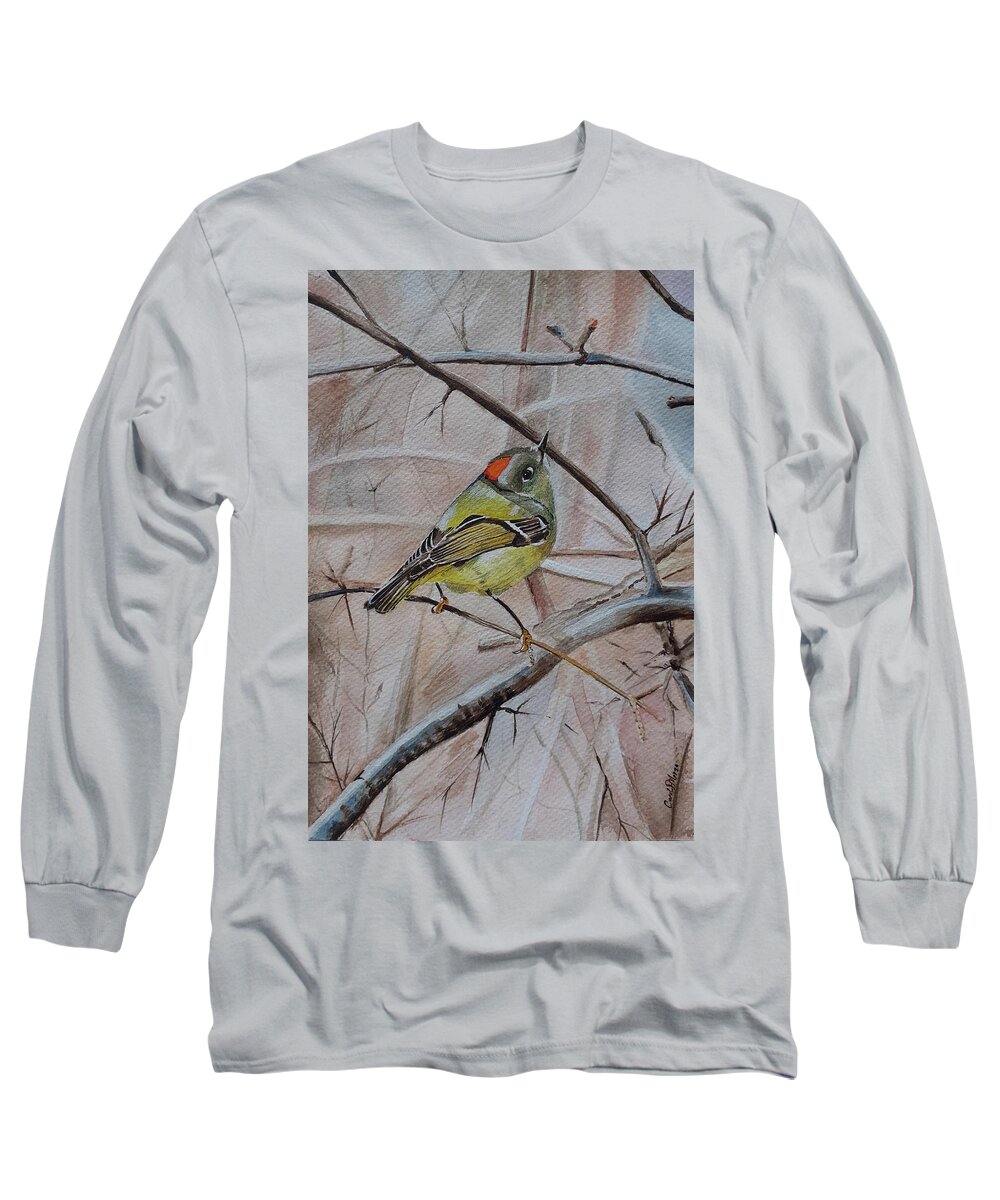 Bird Long Sleeve T-Shirt featuring the painting Little bird resting on a branch by Carolina Prieto Moreno