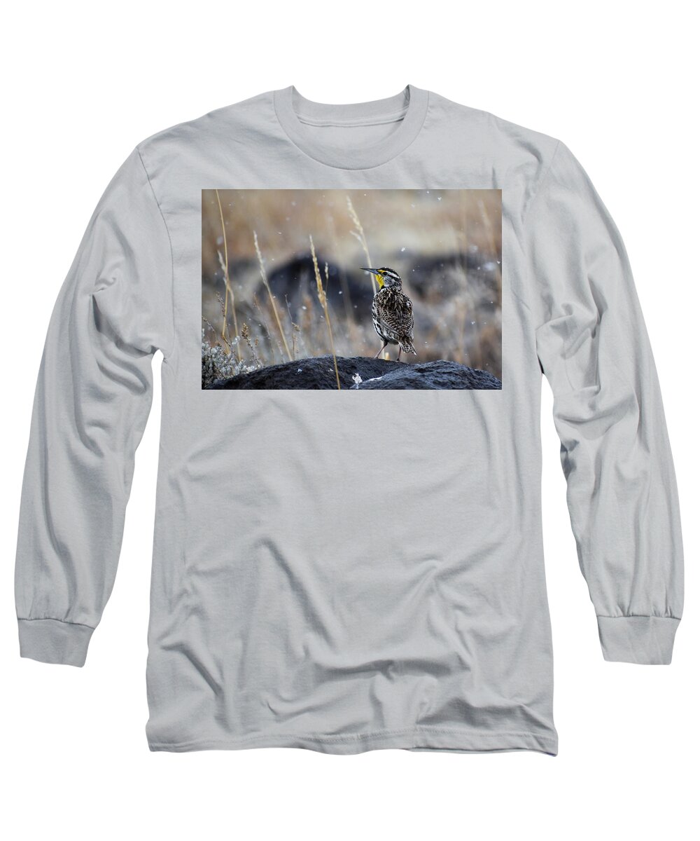 Western Art Long Sleeve T-Shirt featuring the photograph Meadowlark by Alden White Ballard