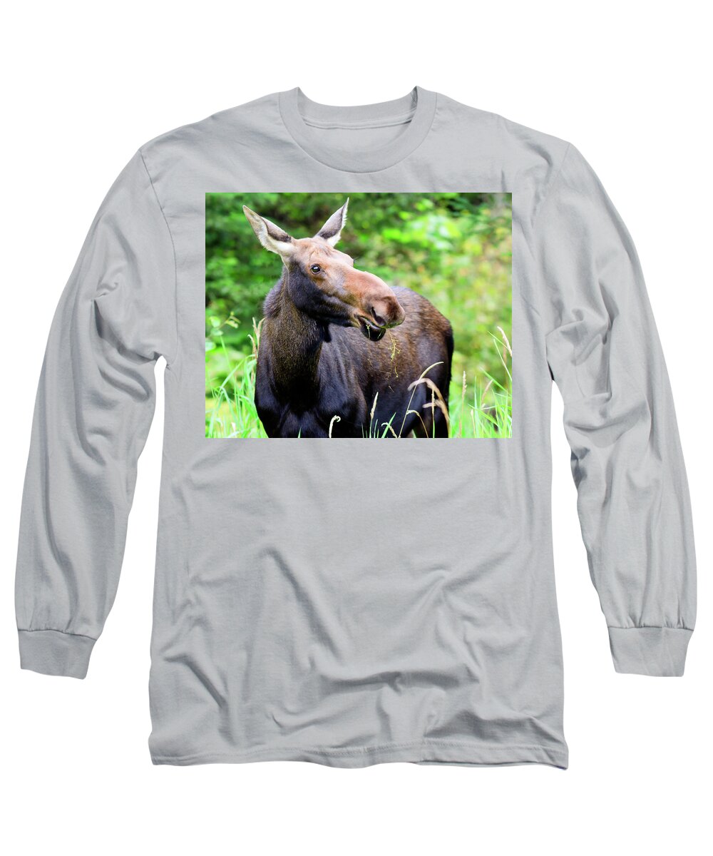 Moose Long Sleeve T-Shirt featuring the photograph Moose by John Rowe