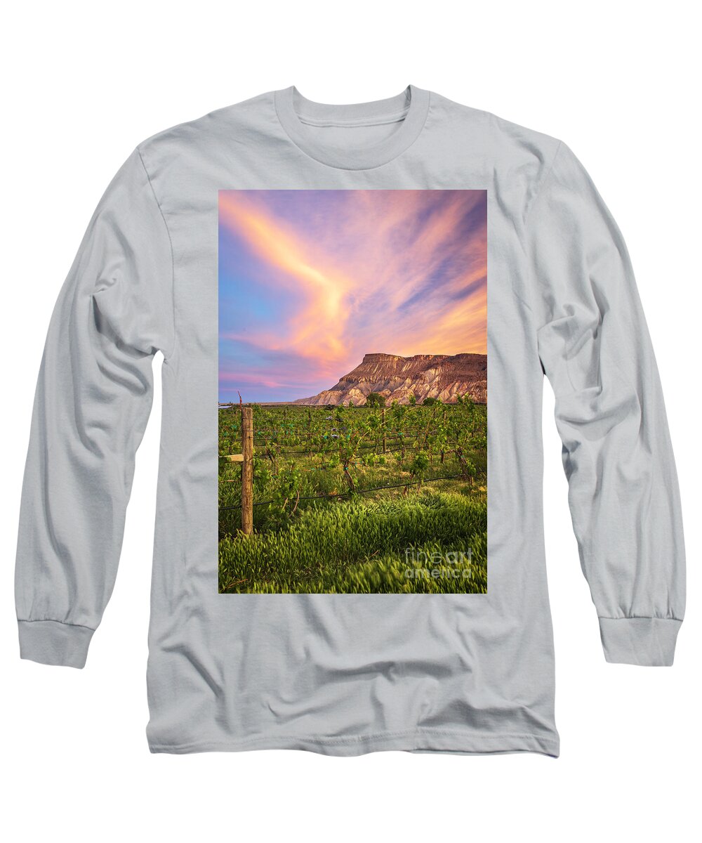 Mt Garfield Long Sleeve T-Shirt featuring the photograph Mt Garfield and the Palisade Vineyards by Ronda Kimbrow