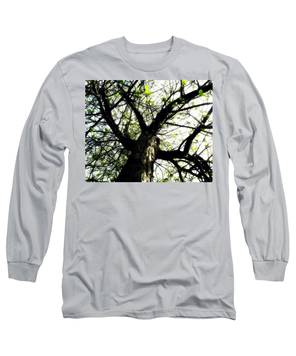 Leaves Long Sleeve T-Shirt featuring the photograph New Leaves by Amanda R Wright