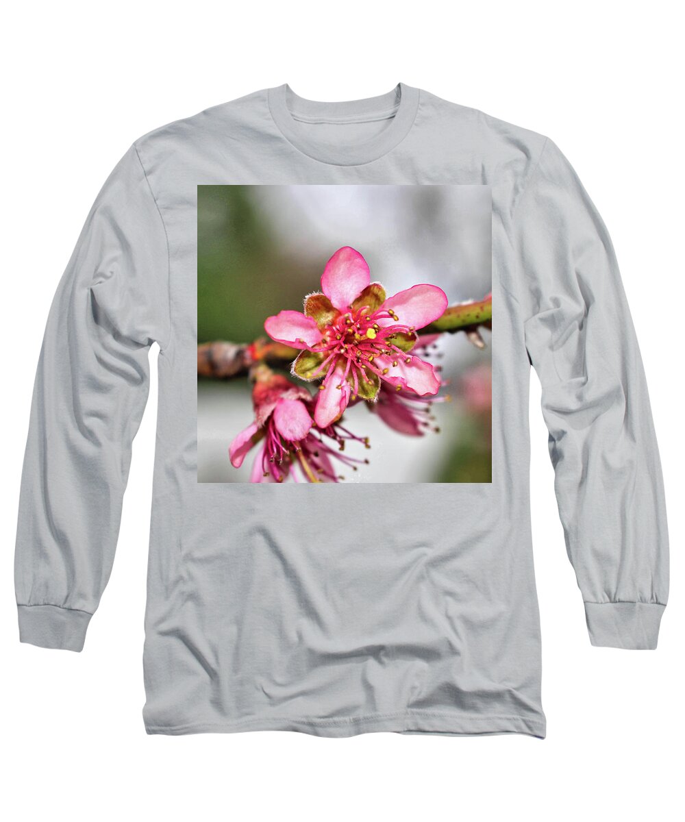 Newark Long Sleeve T-Shirt featuring the photograph Newark Cherry Blossom Series - 12 by Christopher Lotito