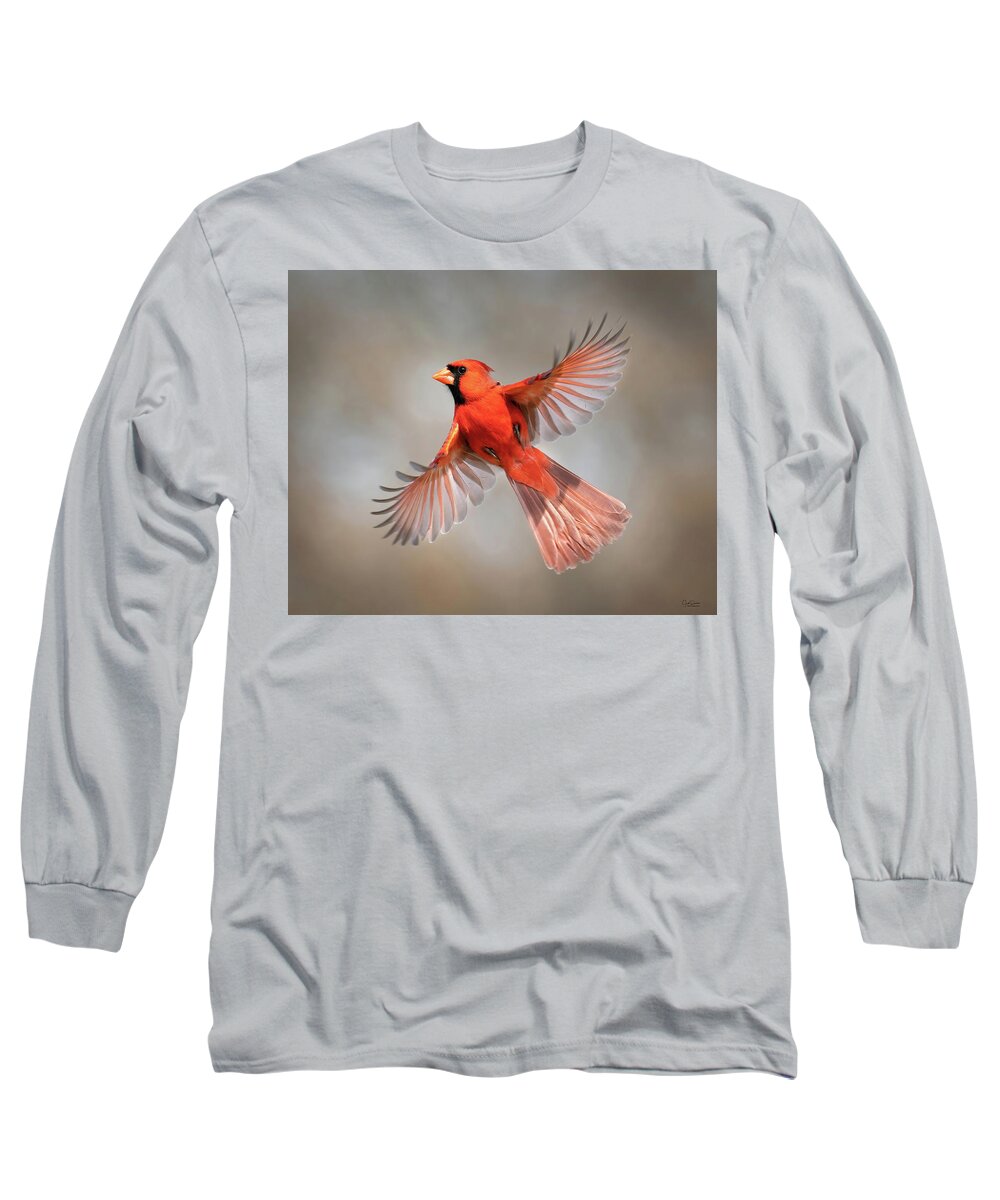 Cardinals Long Sleeve T-Shirt featuring the photograph Northern Cardinal Beauty by Judi Dressler