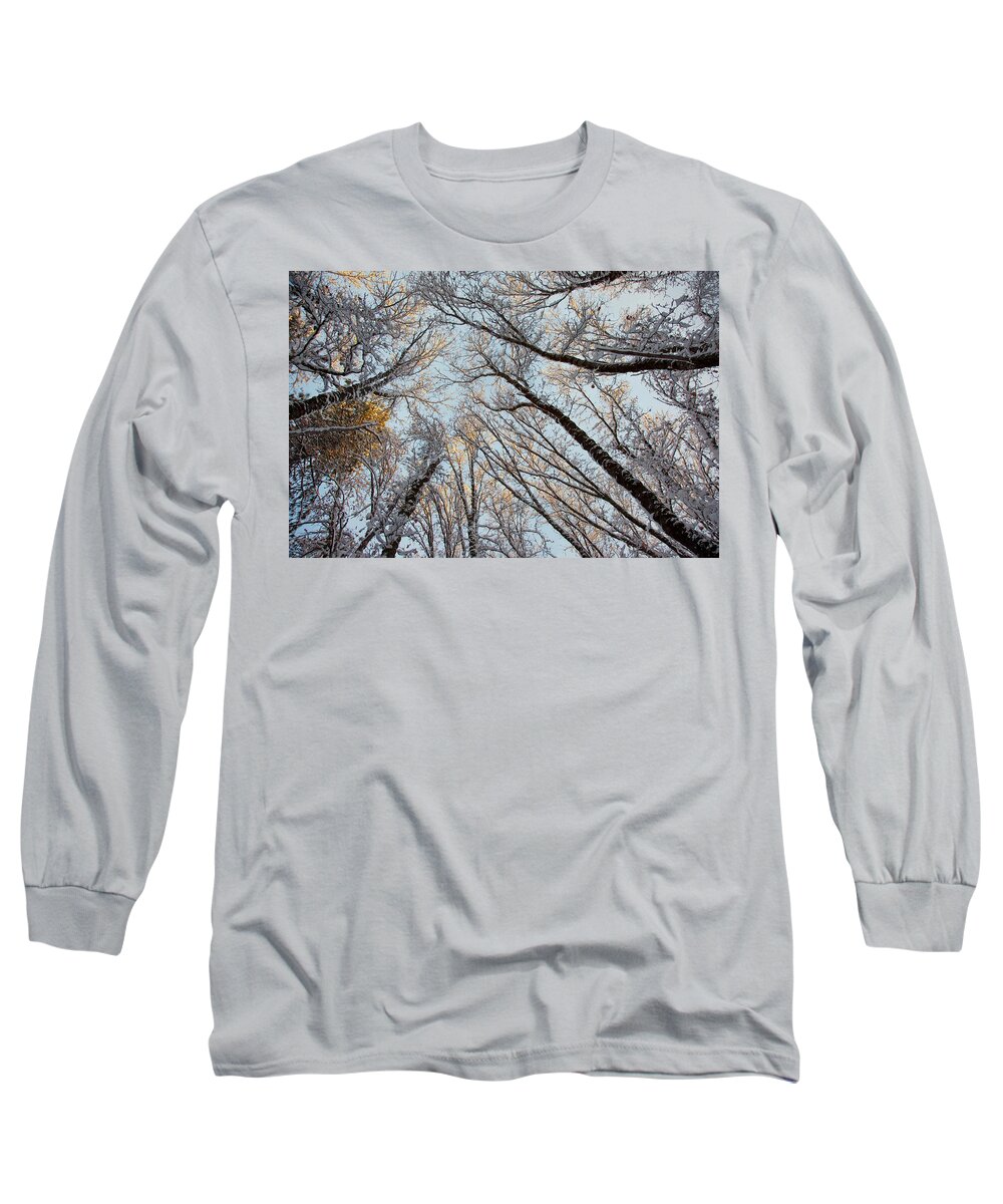 Winter Long Sleeve T-Shirt featuring the photograph Sun Kissed Oaks by Ryan Workman Photography