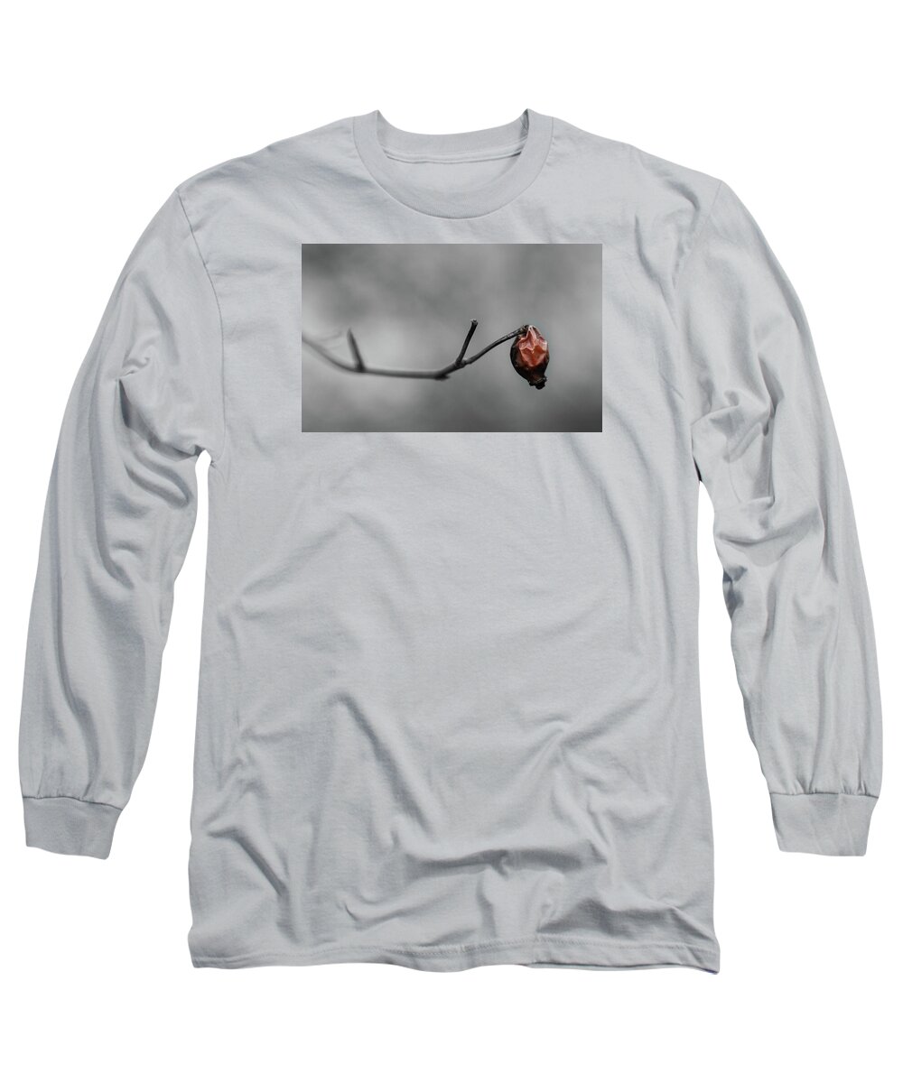 Rose Long Sleeve T-Shirt featuring the photograph Sad Rosehip by Martin Vorel Minimalist Photography