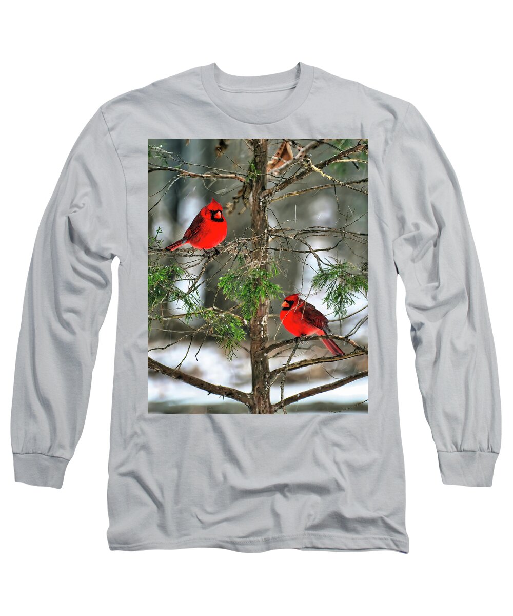 Snow Birds Long Sleeve T-Shirt featuring the photograph Snow Birds by Michael Frank