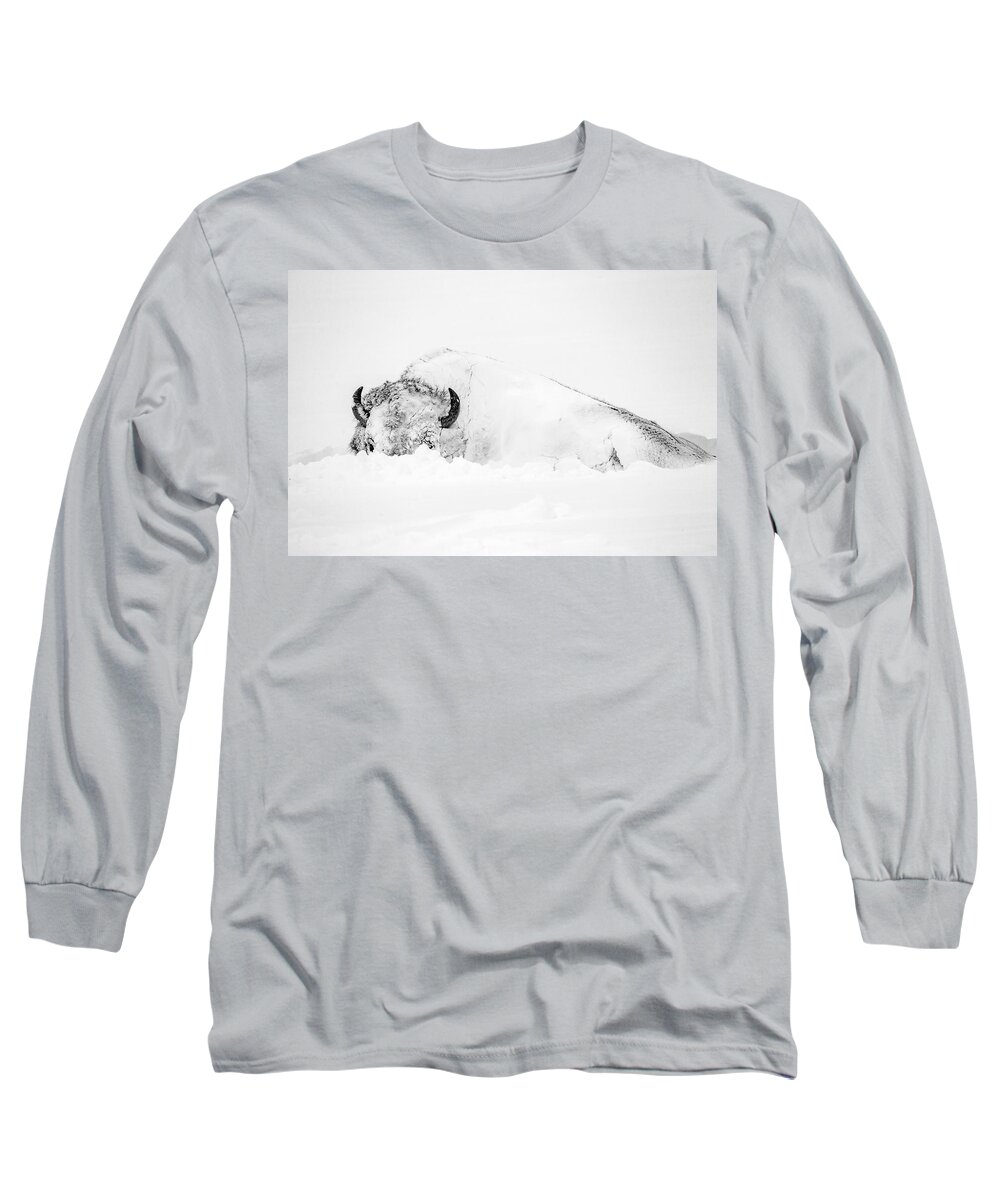 Snow Long Sleeve T-Shirt featuring the photograph Snowy Buffalo by D Robert Franz