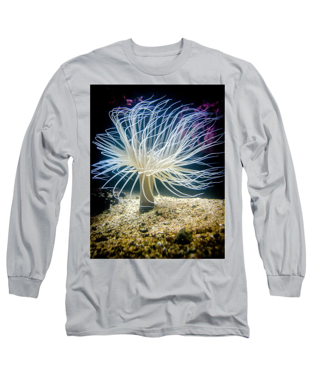 Tube Anemone Long Sleeve T-Shirt featuring the photograph Tube Anemone by WAZgriffin Digital