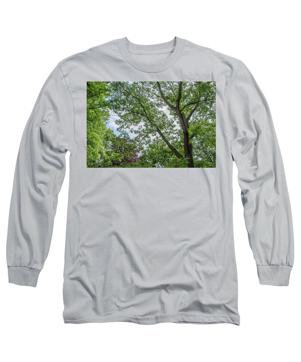 Waterlow Park Long Sleeve T-Shirt featuring the photograph Waterlow Park Trees Summer by Edmund Peston