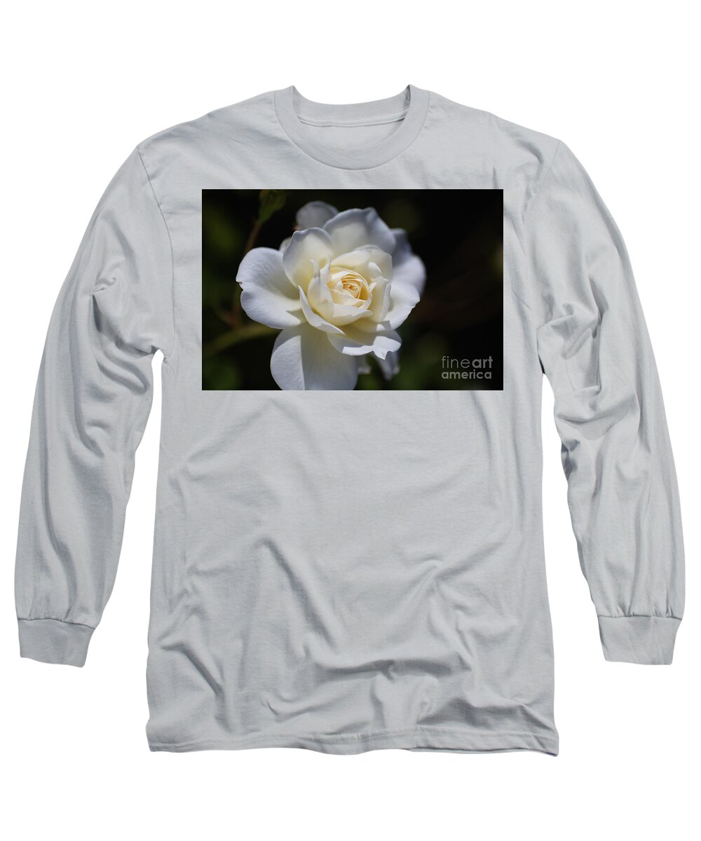 Floribunda Rose Long Sleeve T-Shirt featuring the photograph White And Soft Rose by Joy Watson