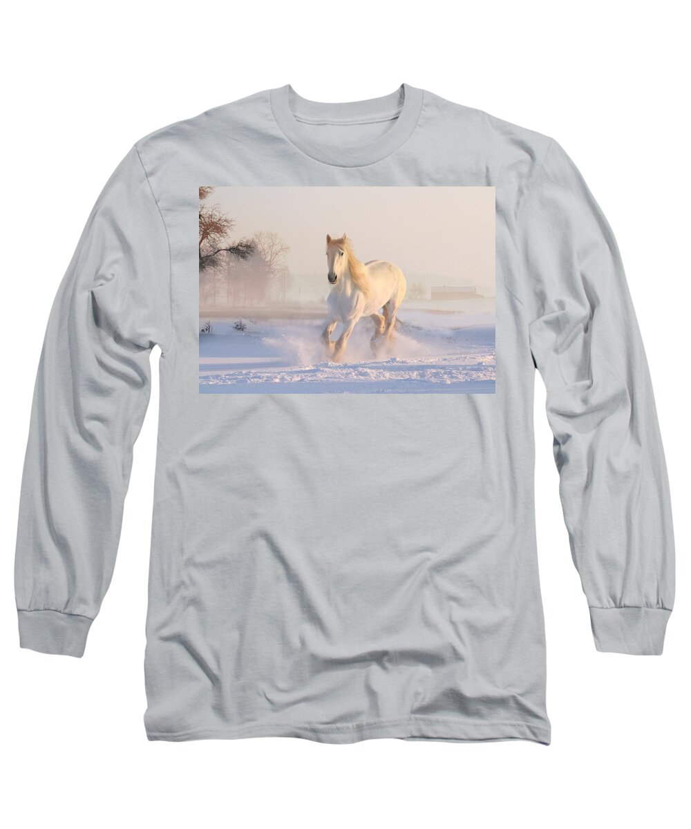 Horse Long Sleeve T-Shirt featuring the photograph White Horse in the Snow by Alice Terrill