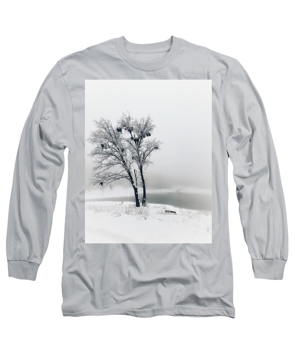 Black And White Long Sleeve T-Shirt featuring the photograph Winter Oak by Steph Gabler