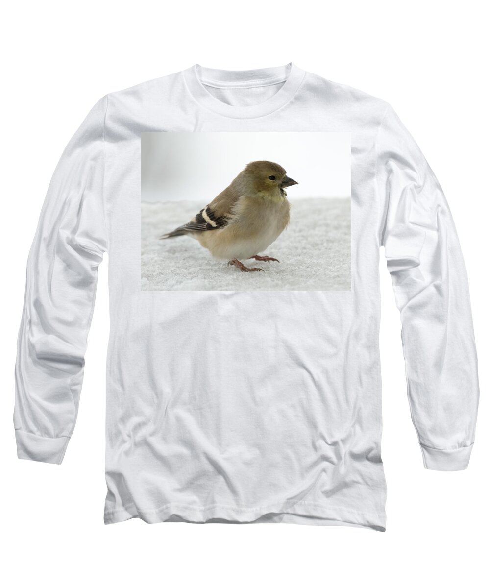 Jan Holden Long Sleeve T-Shirt featuring the photograph American Goldfinch in the Snow by Holden The Moment